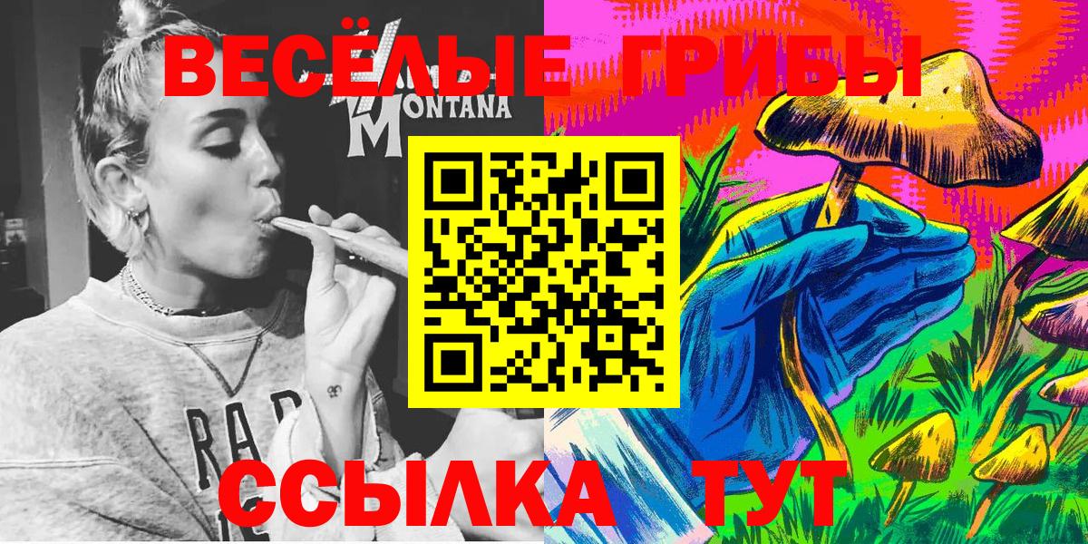 где продают наркотики  Вход с VPN  Топки  Псилоцибиновые грибы Magic Shrooms  Псилоцибиновые грибы Psilocybine cubensis 